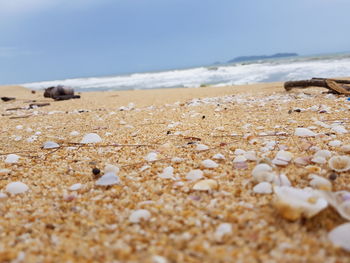 Close-up of beach against sky