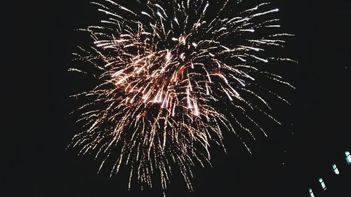 Low angle view of firework display at night