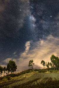 Trees on field against sky at night