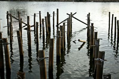 Reflection of lake in water