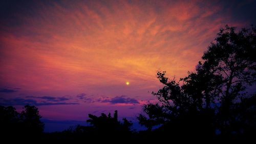 Silhouette of trees against cloudy sky