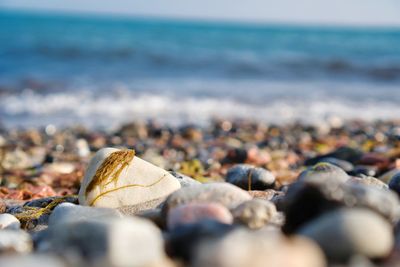 Close-up of pebbles on beach