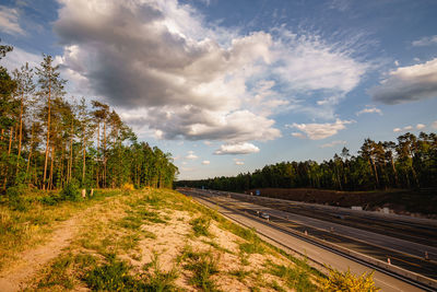Empty road along trees and plants against sky