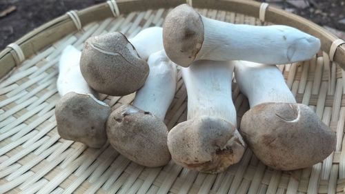 High angle view of mushrooms on table