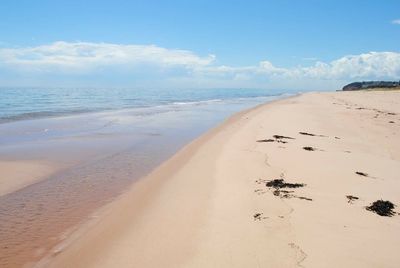 Scenic view of beach against sky