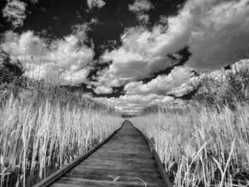 Boardwalk amidst landscape against sky