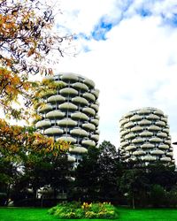 View of trees on lawn