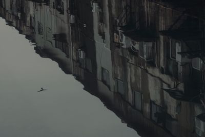 Bird flying over canal amidst buildings in city