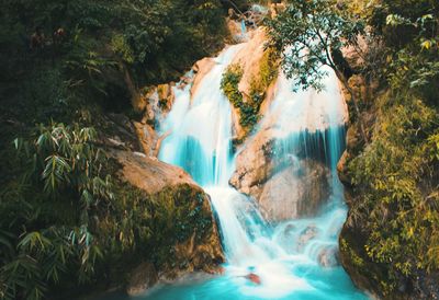 Scenic view of waterfall in forest