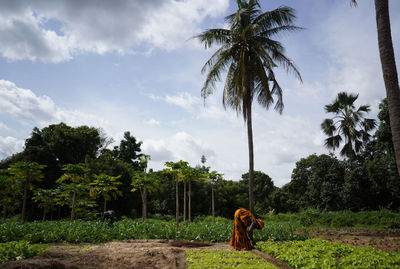 Man standing by palm trees on field against sky