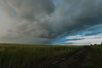 Scenic view of agricultural field against sky