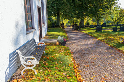 Footpath amidst houses and trees during autumn