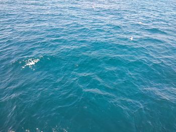 High angle view of rippled water