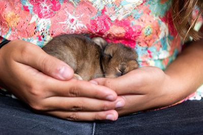 Midsection of baby sleeping