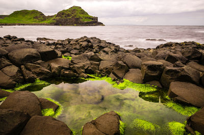 Moss growing on rocks in sea against sky