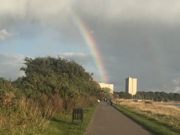 Scenic view of rainbow over trees against sky