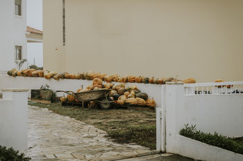 Pumpkins by building