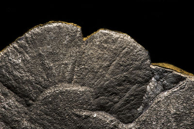 Close-up of heart shape on rock