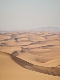 Desert View