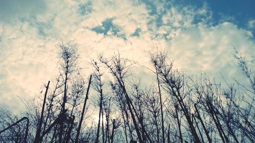 Low angle view of bare tree against cloudy sky