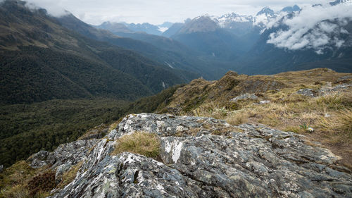 View on alpine valley with mountains with dense woods. routeburn track, new zealand
