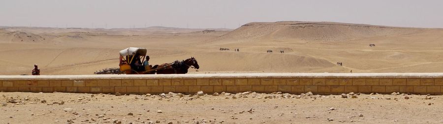 Panoramic arid landscape