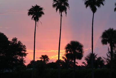Silhouette palm trees against sky during sunset