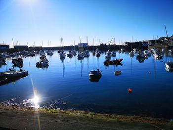 Sailboats moored in harbor against sky