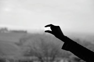 Close-up of hand holding lizard against sky