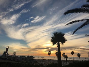 Low angle view of silhouette palm trees against sky during sunset