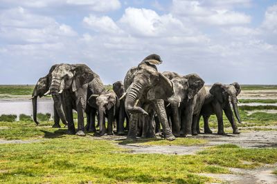 Elephant sculpture on grass against sky