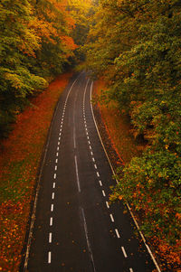 Road amidst autumn trees