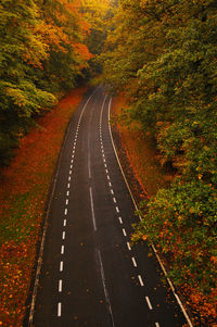 Road amidst autumn trees
