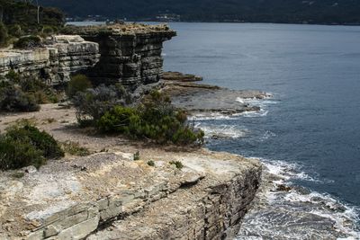 Tessellated pavement cliffs,   eaglehawk neck, tasmania