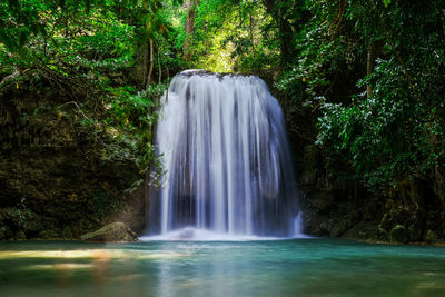 Scenic view of waterfall in forest