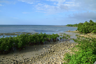 Scenic view of sea against sky