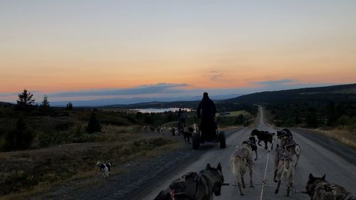 People walking on road against sky during sunset