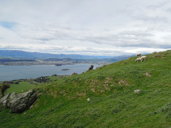 Scenic view of landscape against sky