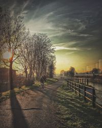 Trees against sky during sunset