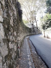 Road amidst trees