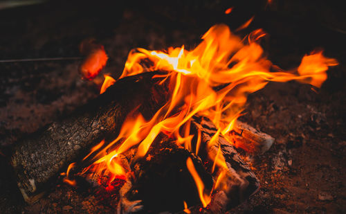 Close-up of campfire at night