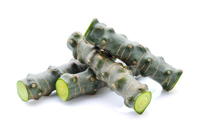 Close-up of snake against white background