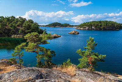 Scenic view of sea against sky