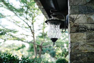 Low angle view of hanging from tree