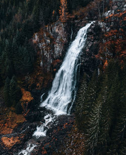 Scenic view of waterfall in forest