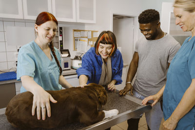 Smiling woman stroking bulldog on examination table in medical clinic
