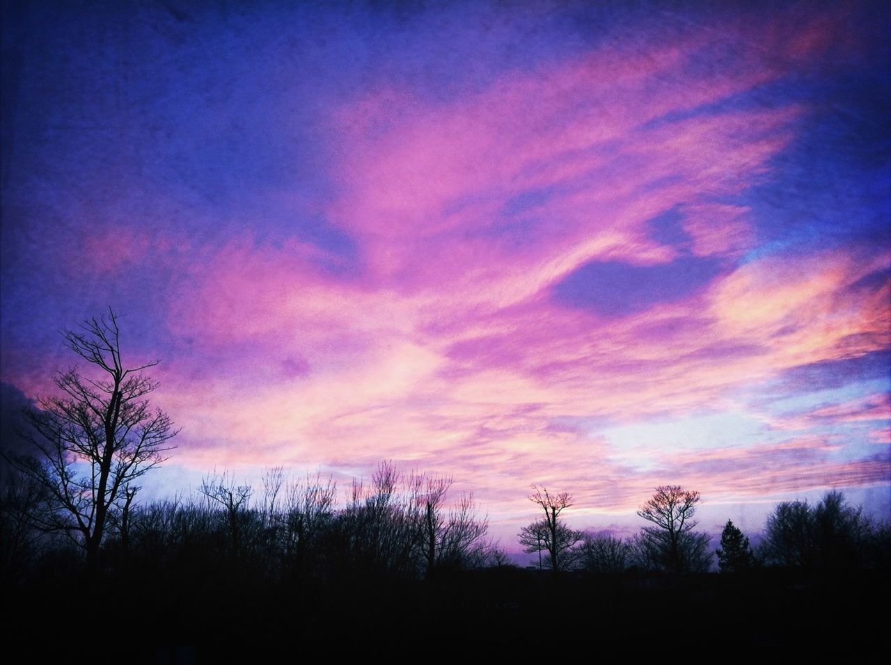 silhouette, sky, sunset, tranquility, tranquil scene, beauty in nature, scenics, tree, cloud - sky, nature, landscape, cloud, blue, dusk, bare tree, idyllic, low angle view, dramatic sky, field, growth