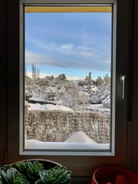 It's snowing outside my kitchen window 