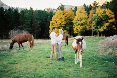 Horses on field