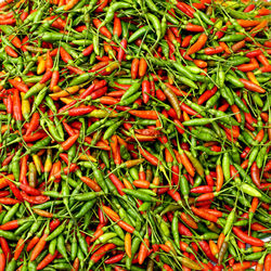 Close up fresh chili organic vegetables in luang prabang, laos